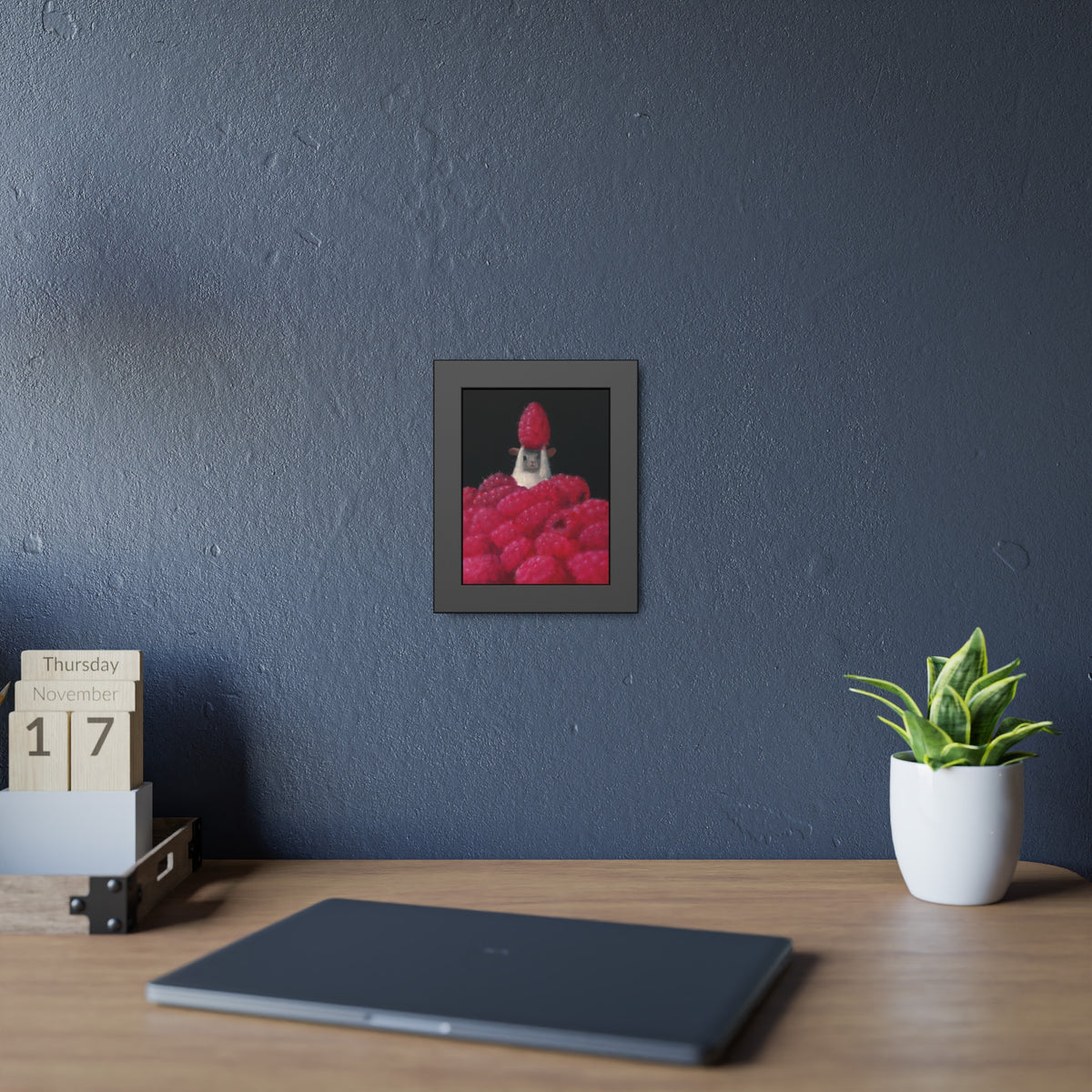 Stuart Dunkel Collection | Hero Wall Art
